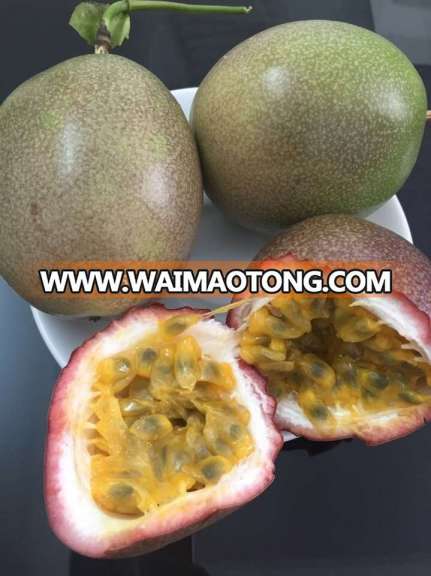 High quality Fresh Passion Fruit From Viet Nam